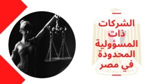 الشركات ذات المسئولية المحدودة