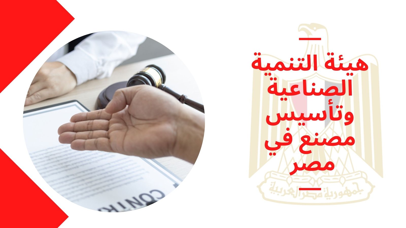 هيئة التنمية الصناعية وتأسيس مصنع في مصر